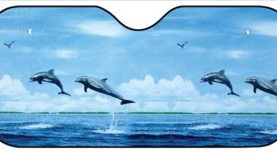 parasolar-auto-delfin-70 cu 140cm otopeni