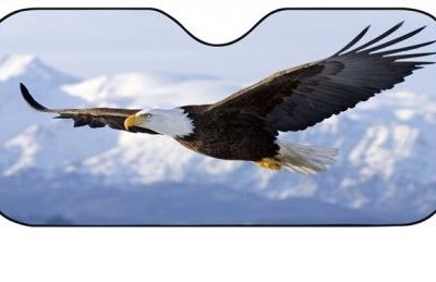 parasolar parbriz mare vultur otopeni